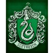 Harry Potter Slytherin Crest (DDHP.1001) 40 x 50cm
